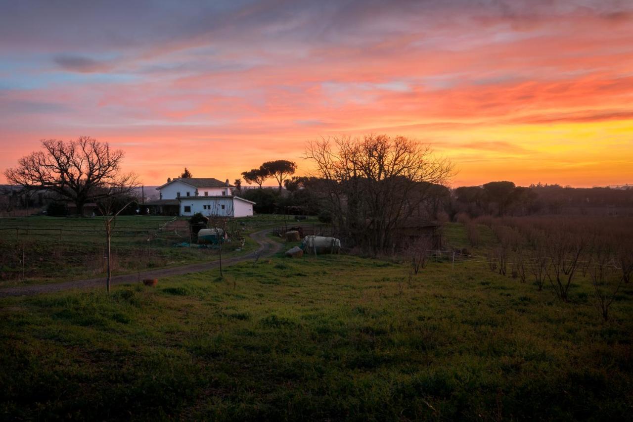 Agriturismo Il Poggio Vetralla Exteriér fotografie