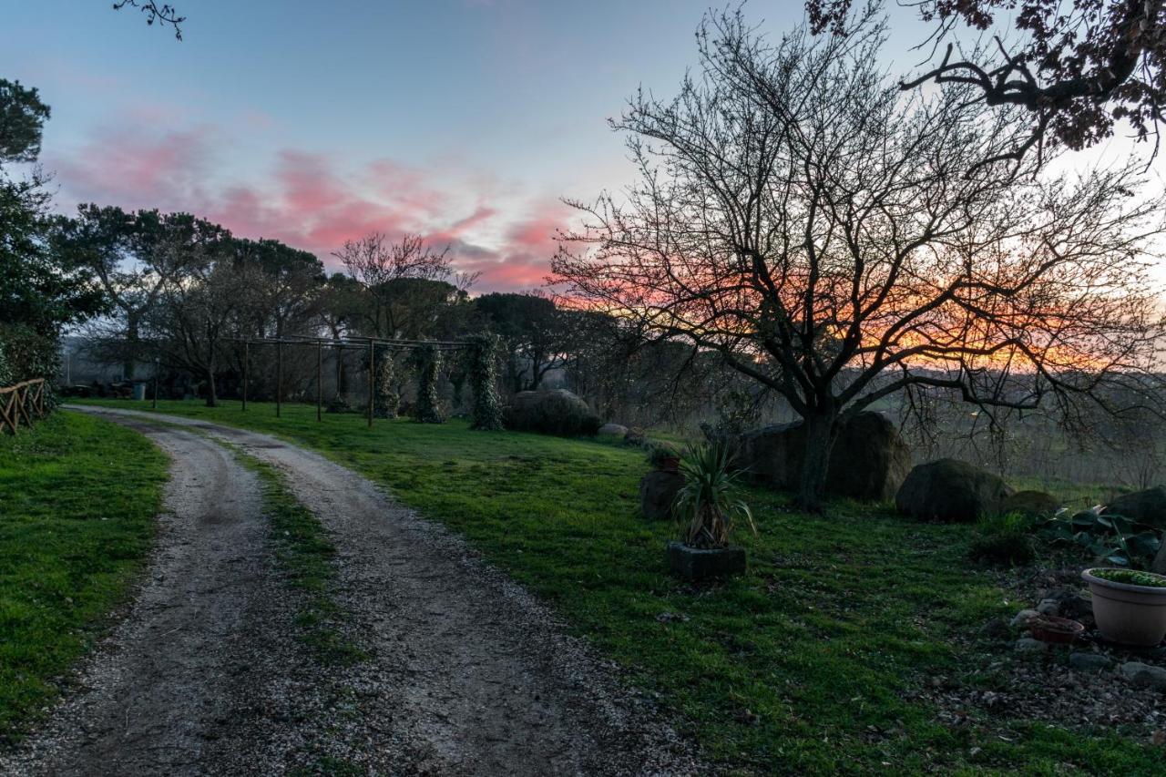 Agriturismo Il Poggio Vetralla Exteriér fotografie