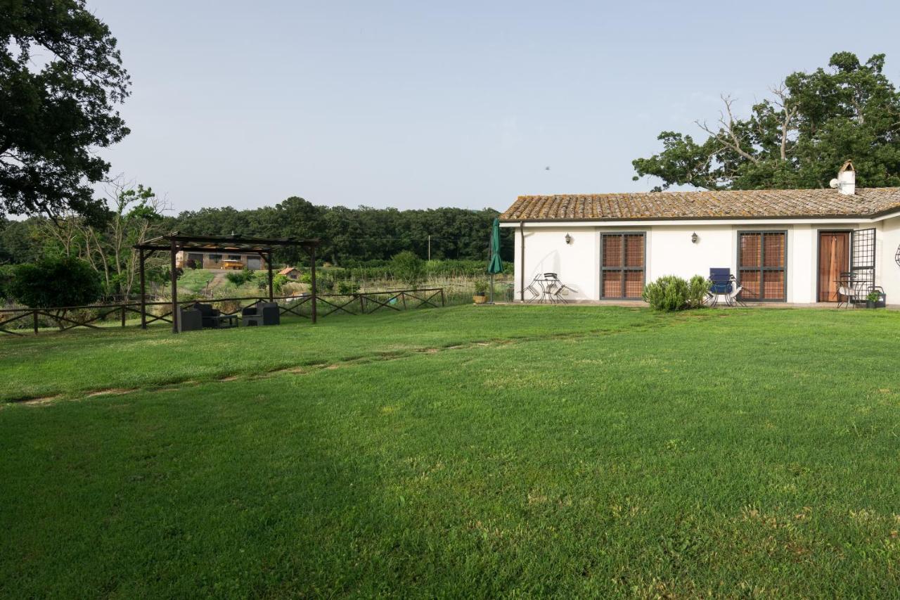 Agriturismo Il Poggio Vetralla Exteriér fotografie