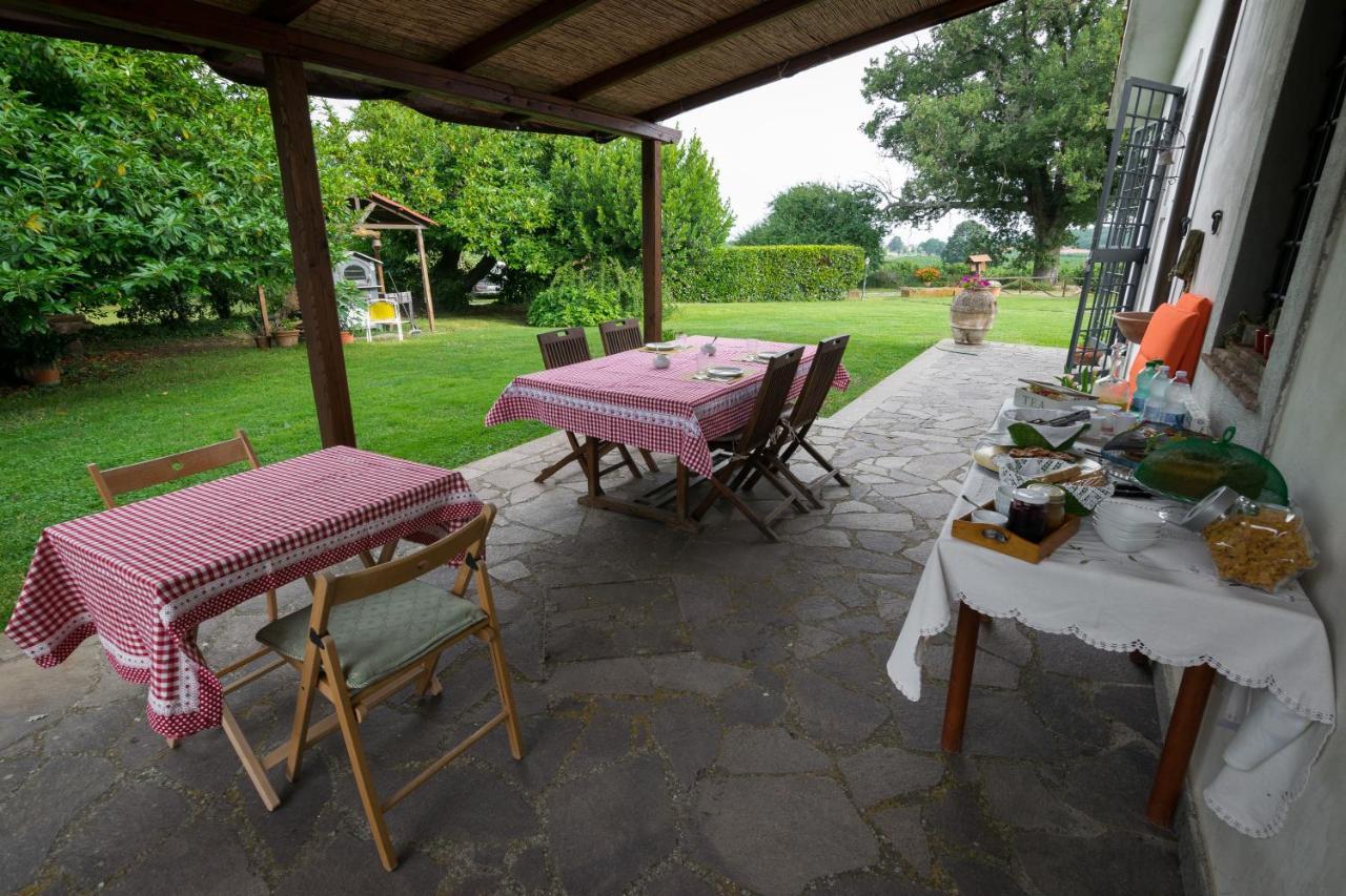 Agriturismo Il Poggio Vetralla Exteriér fotografie