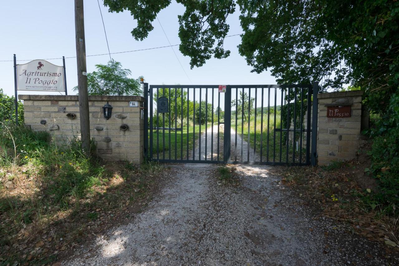 Agriturismo Il Poggio Vetralla Exteriér fotografie