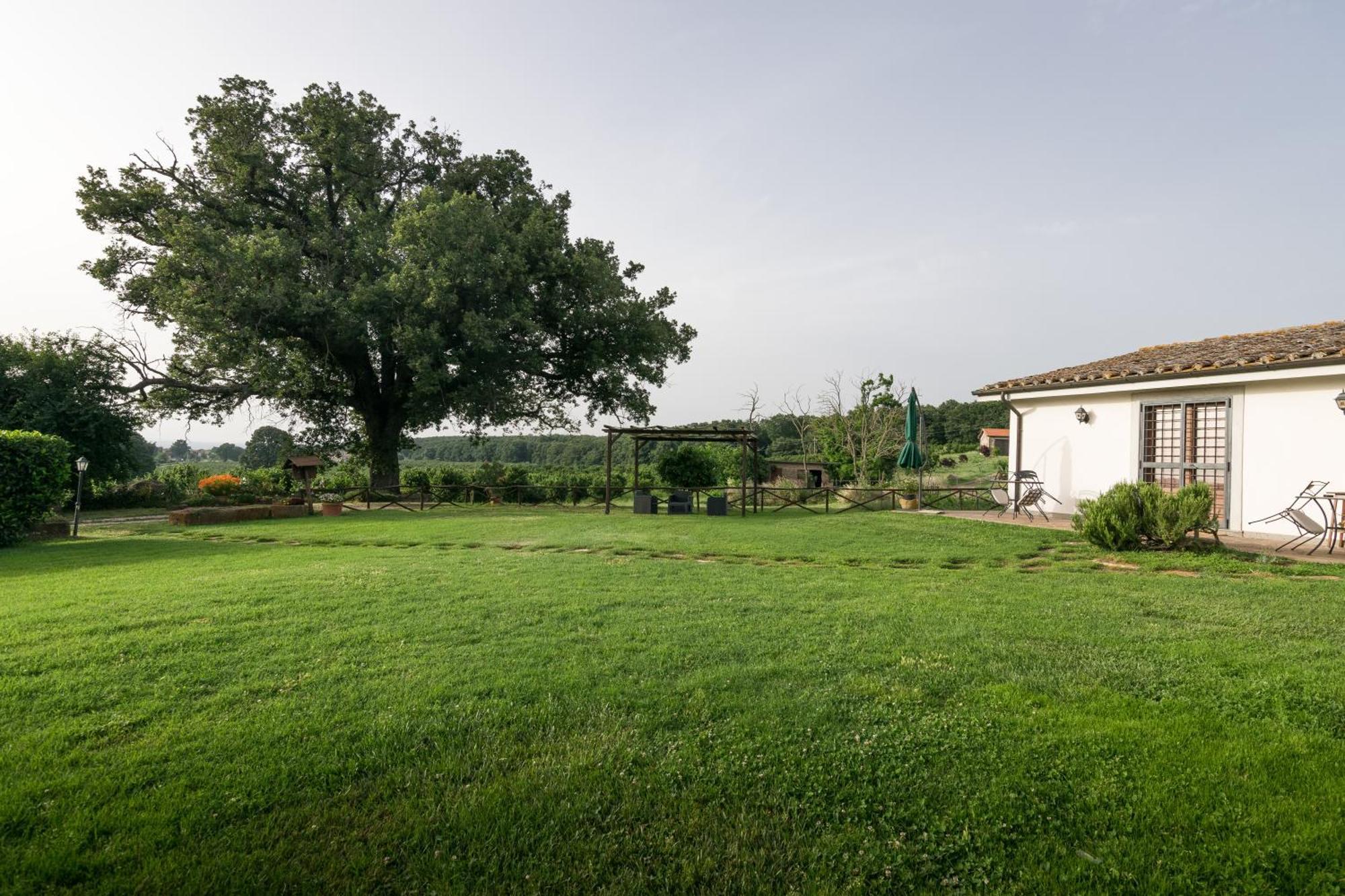 Agriturismo Il Poggio Vetralla Exteriér fotografie